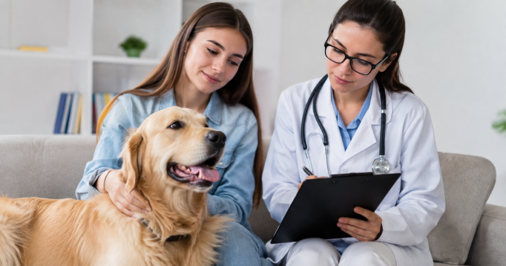 Pet insurance waiting periods, veterinarian reviewing policy paperwork with pet owner