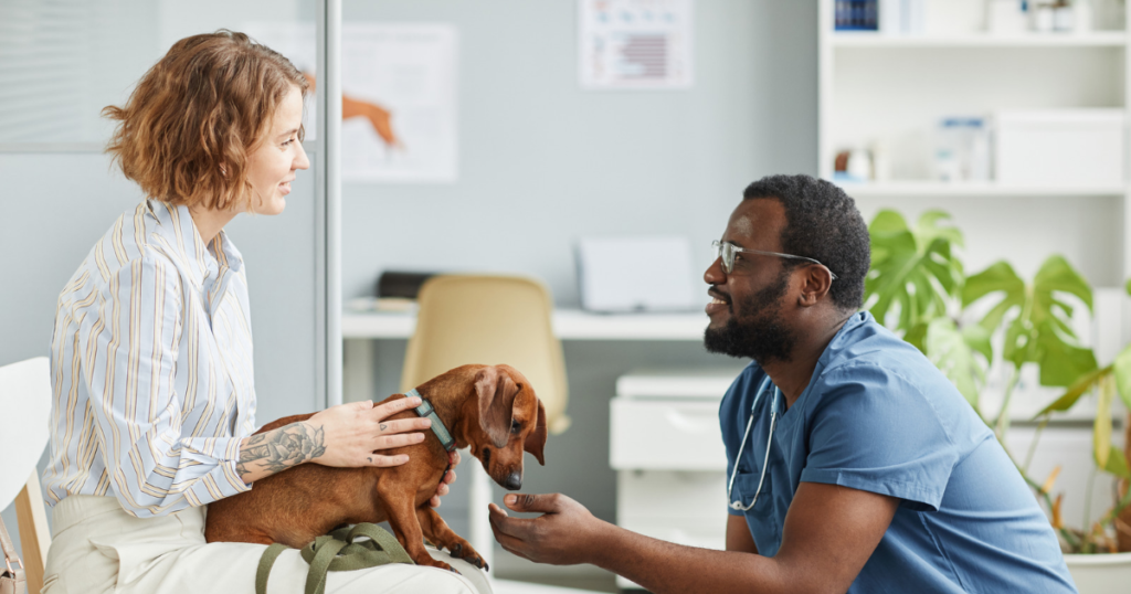 Pet insurance cancer coverage, veterinarian consulting with dog owner about treatment options