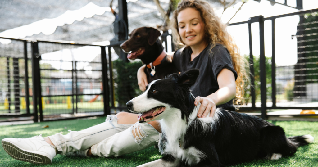 Rescue pet insurance, new pet owner adopting a dog at an animal shelter