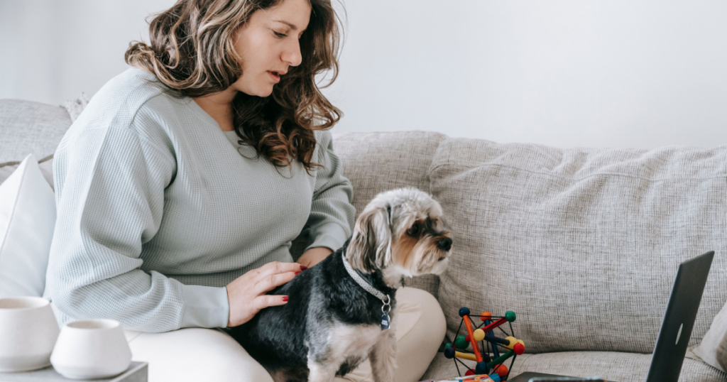 What does pet insurance not cover, owner reviewing pet insurance policy document